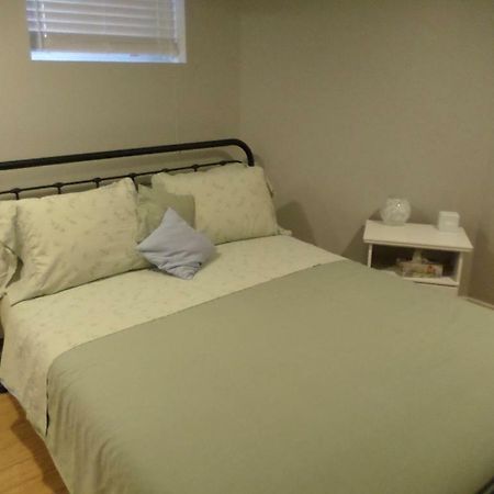 Fantastic And Modern Downtown 1-Bed Basement Apt., Parking Wi-Fi And Netflix Included Otawa Exterior foto