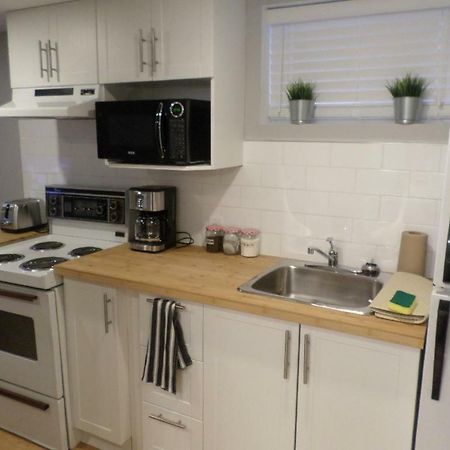 Fantastic And Modern Downtown 1-Bed Basement Apt., Parking Wi-Fi And Netflix Included Otawa Exterior foto
