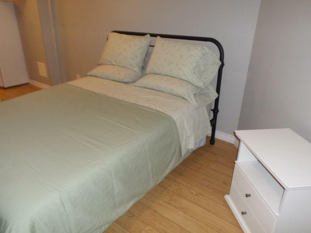 Fantastic And Modern Downtown 1-Bed Basement Apt., Parking Wi-Fi And Netflix Included Otawa Exterior foto