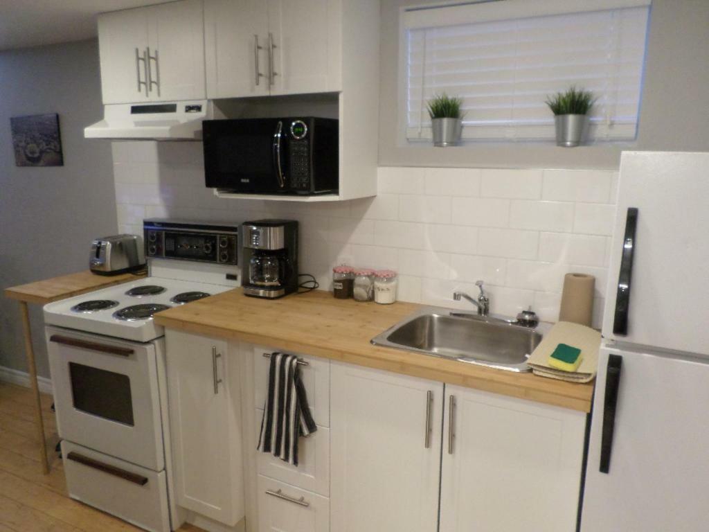 Fantastic And Modern Downtown 1-Bed Basement Apt., Parking Wi-Fi And Netflix Included Otawa Exterior foto